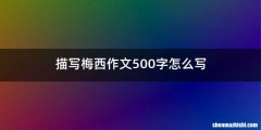 描写梅西作文500字怎么写