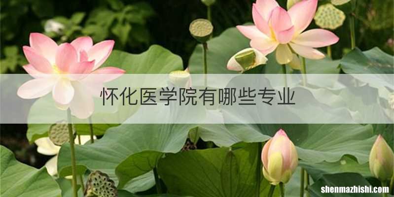 怀化医学院有哪些专业