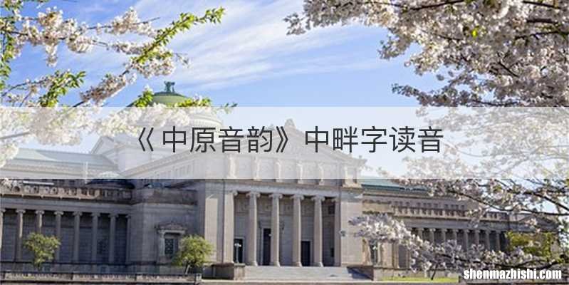 巜中原音韵》中畔字读音