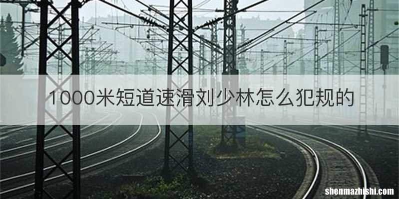 1000米短道速滑刘少林怎么犯规的