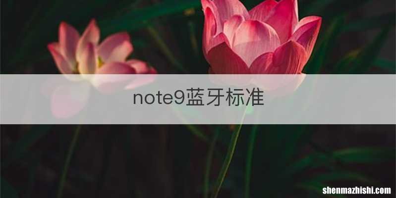 note9蓝牙标准