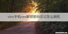 vivo手机nex解锁密码忘记怎么刷机