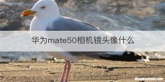 华为mate50相机镜头像什么