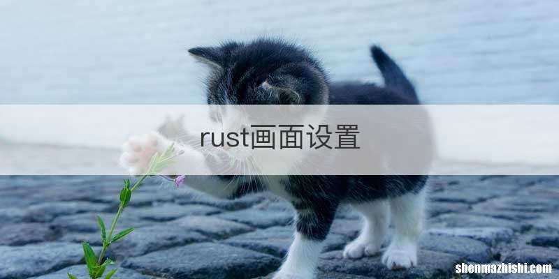 rust画面设置