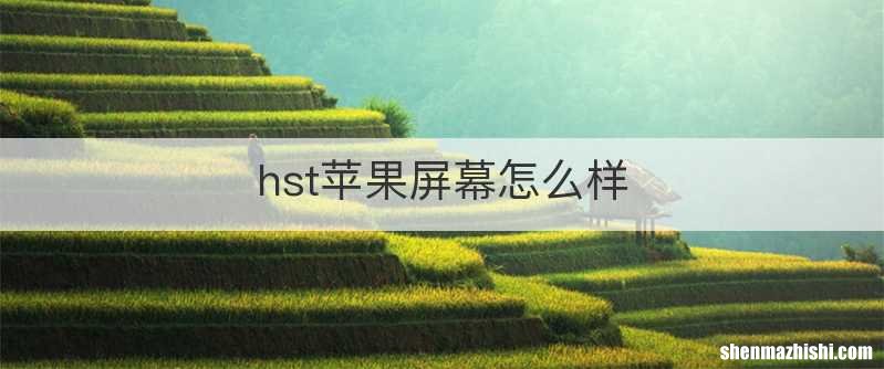 hst苹果屏幕怎么样