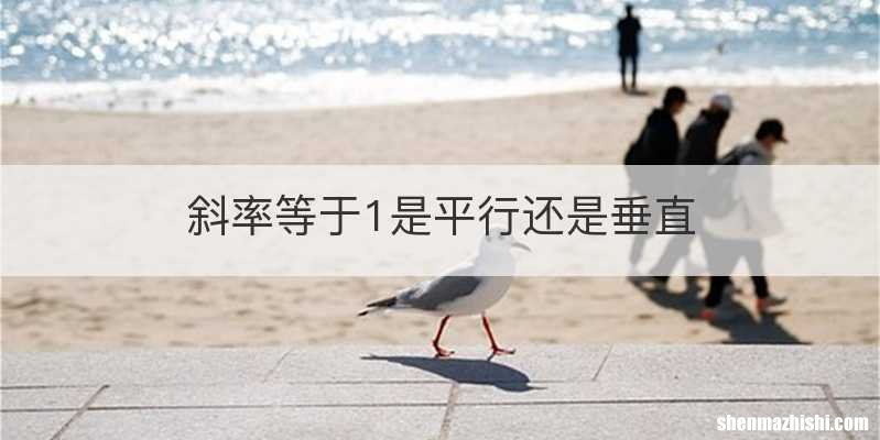 斜率等于1是平行还是垂直