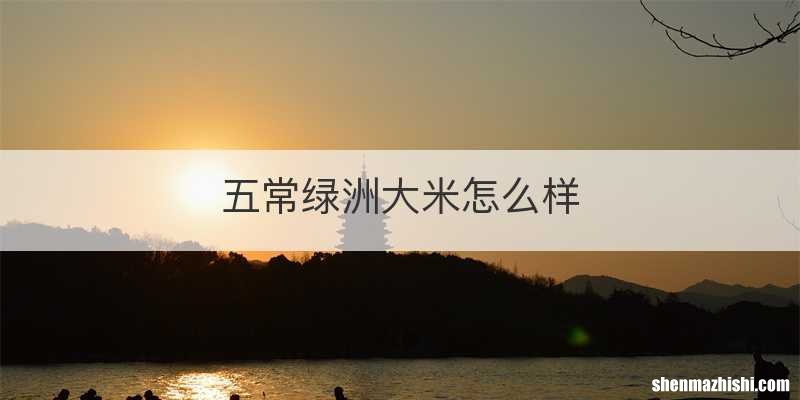 五常绿洲大米怎么样