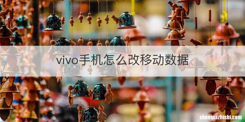 vivo手机怎么改移动数据