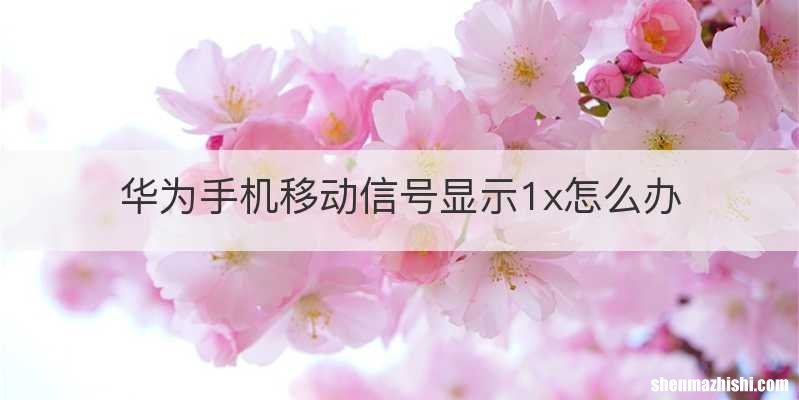 华为手机移动信号显示1x怎么办