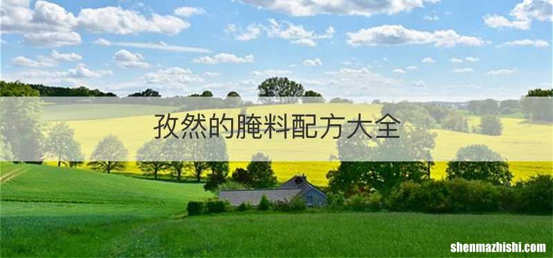 孜然的腌料配方大全