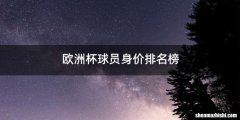 欧洲杯球员身价排名榜