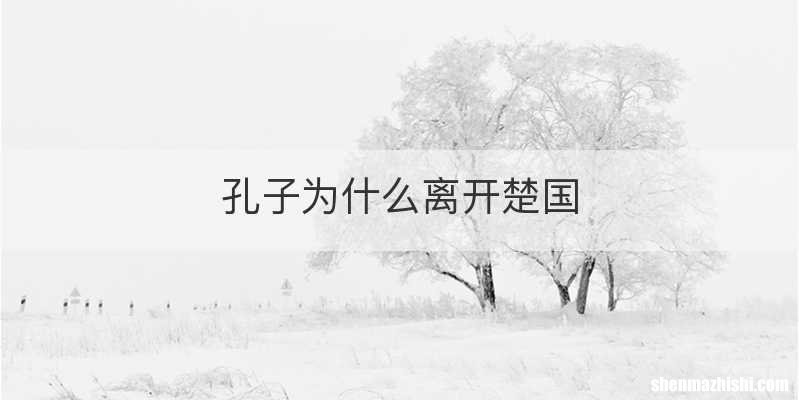 孔子为什么离开楚国