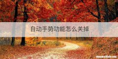 自动手势功能怎么关掉