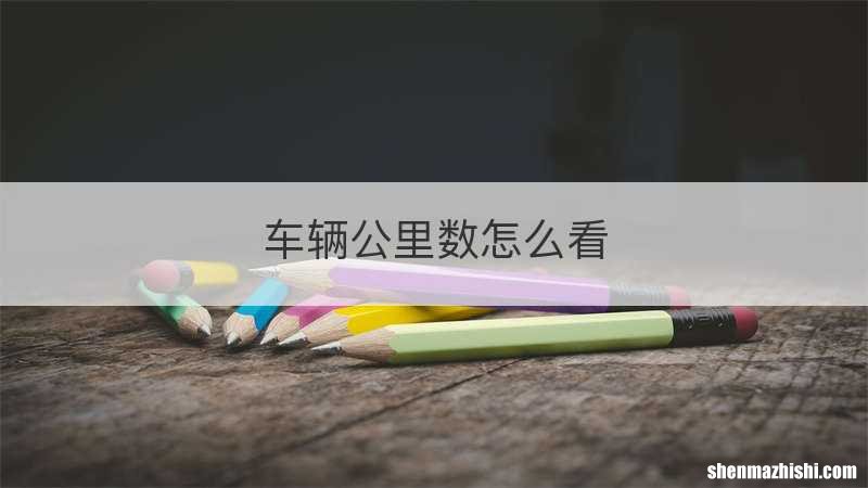 车辆公里数怎么看