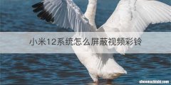 小米12系统怎么屏蔽视频彩铃