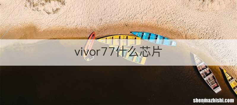 vivor77什么芯片