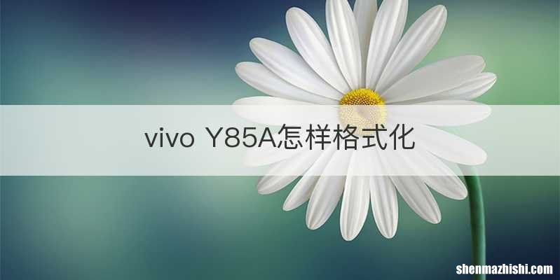 vivo Y85A怎样格式化
