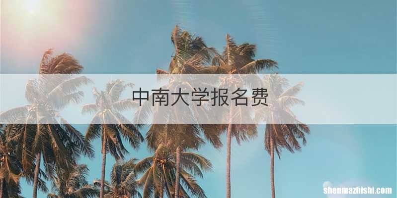 中南大学报名费