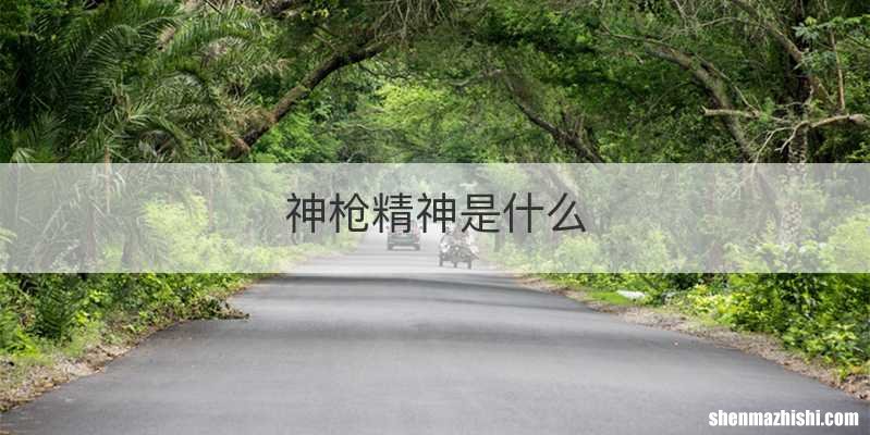 神枪精神是什么