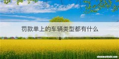 罚款单上的车辆类型都有什么