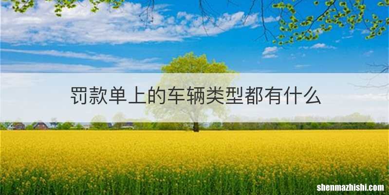 罚款单上的车辆类型都有什么
