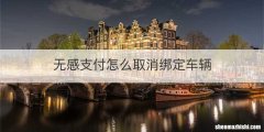 无感支付怎么取消绑定车辆