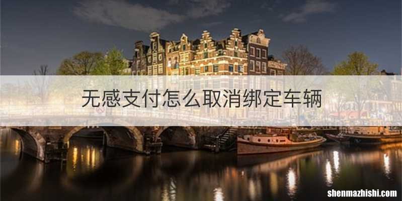 无感支付怎么取消绑定车辆