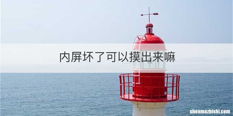 内屏坏了可以摸出来嘛