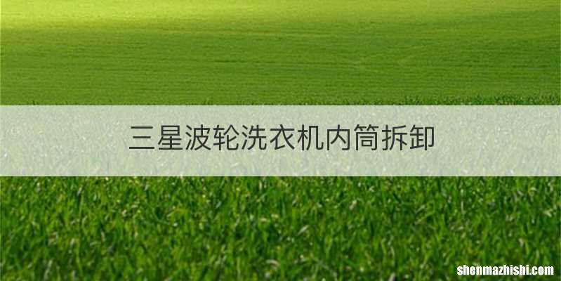 三星波轮洗衣机内筒拆卸