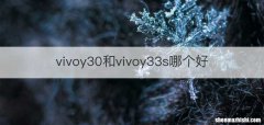 vivoy30和vivoy33s哪个好