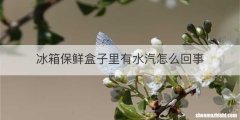 冰箱保鲜盒子里有水汽怎么回事