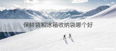 保鲜袋和冰箱收纳袋哪个好