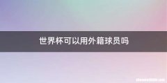 世界杯可以用外籍球员吗