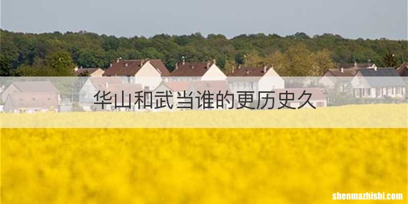 华山和武当谁的更历史久