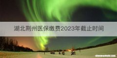 湖北荆州医保缴费2023年截止时间