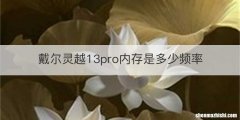 戴尔灵越13pro内存是多少频率