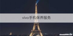 vivo手机保养服务