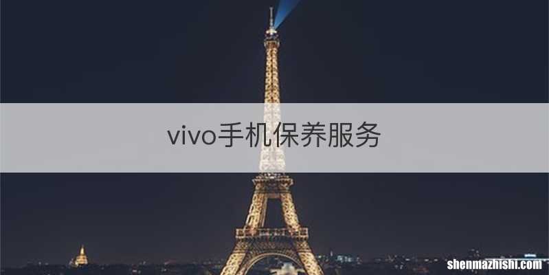 vivo手机保养服务