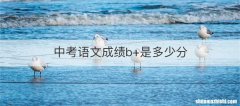 中考语文成绩b+是多少分