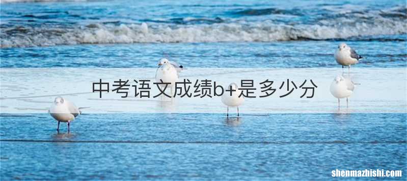 中考语文成绩b+是多少分