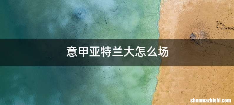 意甲亚特兰大怎么场