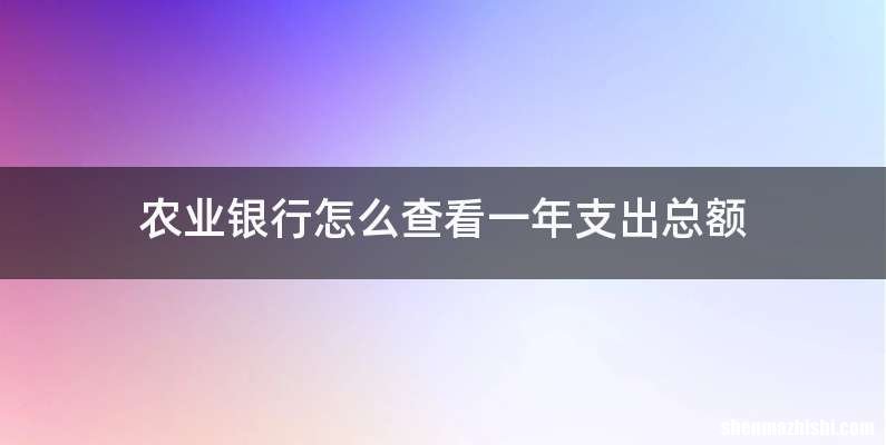 农业银行怎么查看一年支出总额