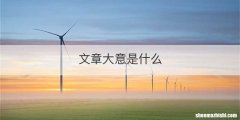 文章大意是什么