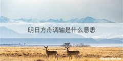 明日方舟调轴是什么意思