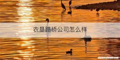 农垦路桥公司怎么样
