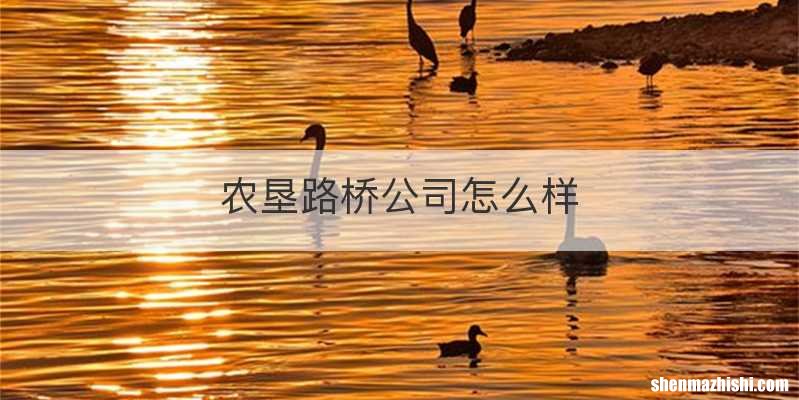 农垦路桥公司怎么样