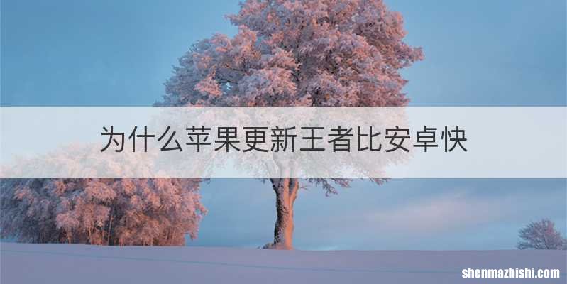 为什么苹果更新王者比安卓快