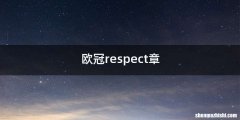 欧冠respect章