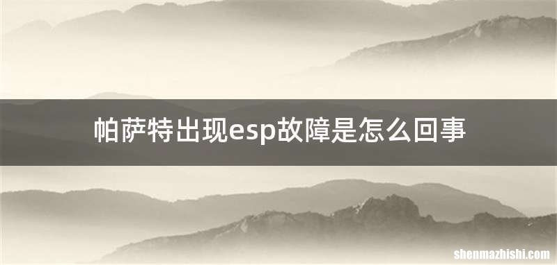 帕萨特出现esp故障是怎么回事