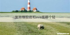 发泡橡胶底和eva底哪个轻